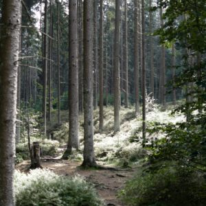 Wandern Fichtelgebirge